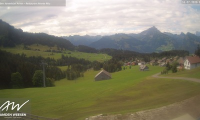 Amden webcam