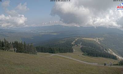 Arber webcam