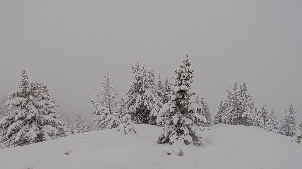 North America Weekly Snow Roundup #318