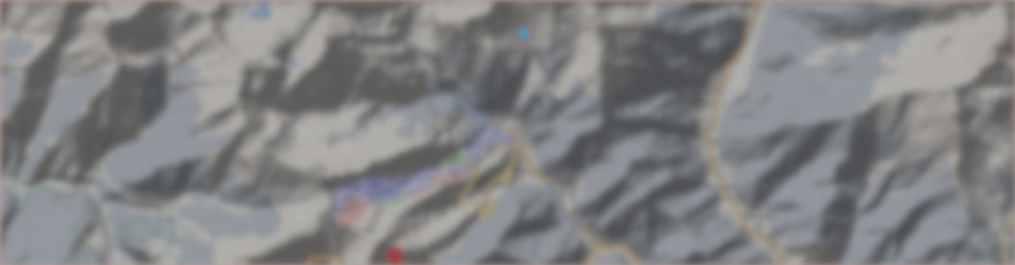 Map placeholder