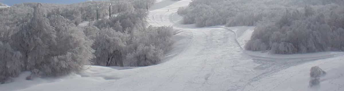 snowy resort