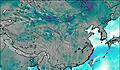 China Wind Map