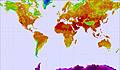 Global - Atlantic View Temperature Map
